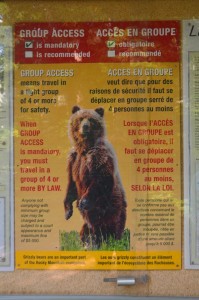 Grizzly bear warning sign