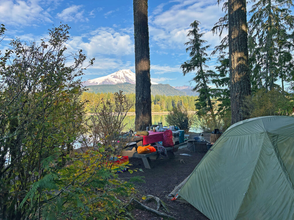 Anderson Point campsite with view of Mount Baker